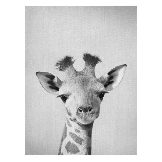 Animal canvas Baby Giraffe Gandalf Black And White