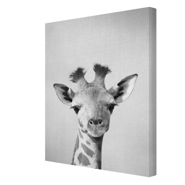Prints modern Baby Giraffe Gandalf Black And White