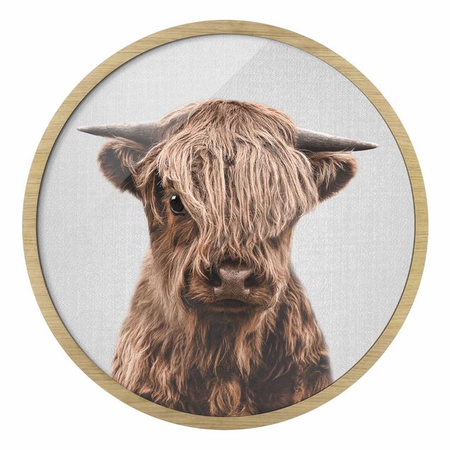 Black and white framed pictures Baby Highland Cow Henri
