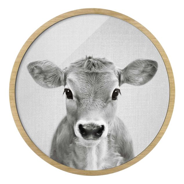 Black and white framed photos Baby Cow Kira Black And White