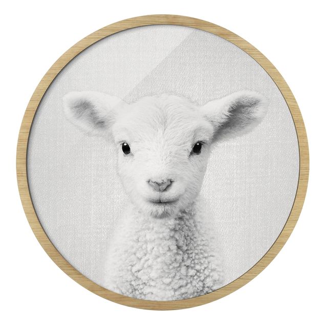 Black and white framed photos Baby Lamb Lina Black And White