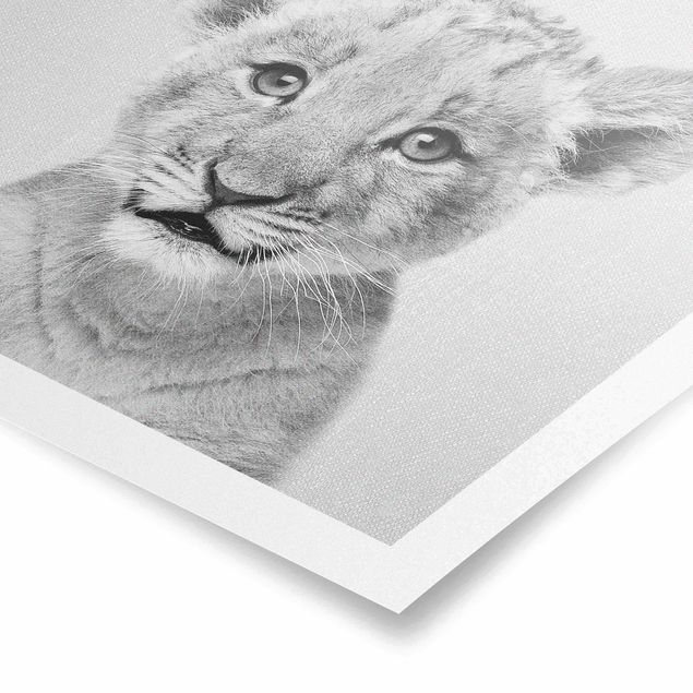 Contemporary art prints Baby Lion Luca Black And White
