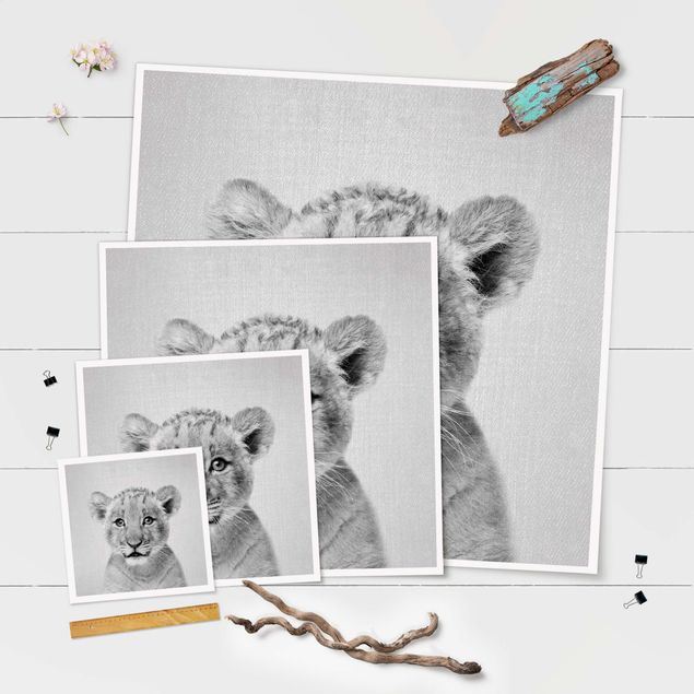 Prints Baby Lion Luca Black And White