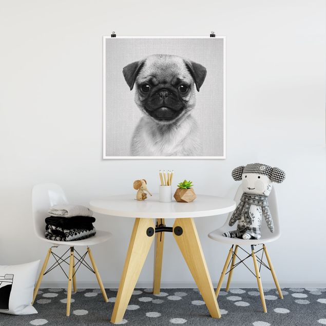 Prints animals Baby Pug Moritz Black And White