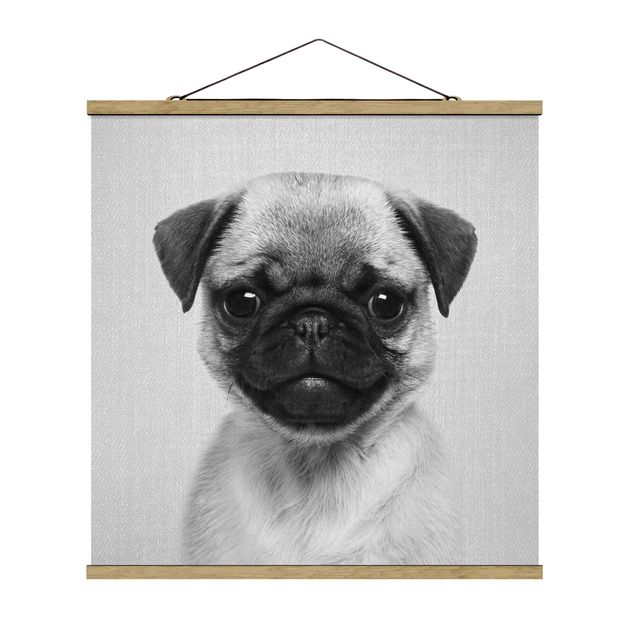 Posters black and white Baby Pug Moritz Black And White