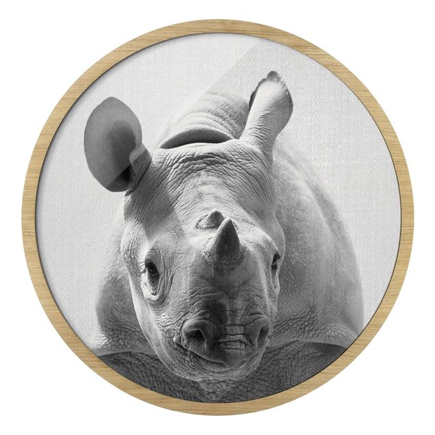 Framed prints black and white Baby Rhinoceros Nina Black And White