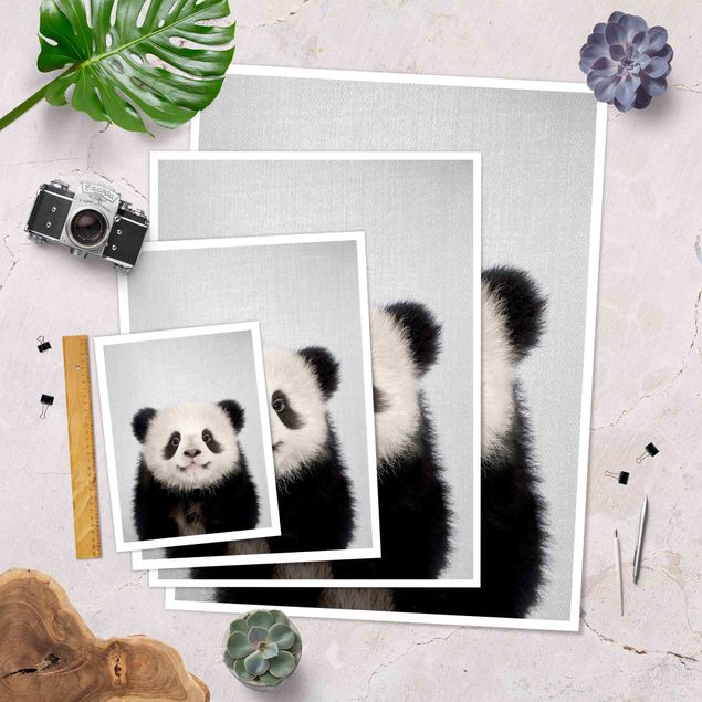 Prints Baby Panda Prian