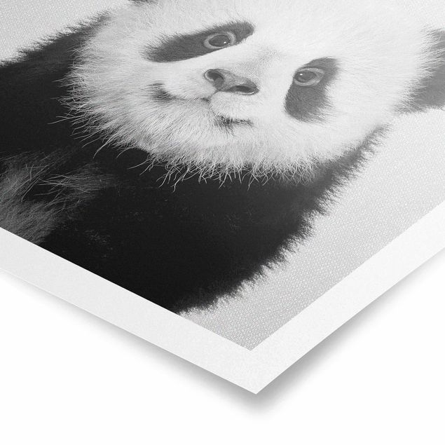 Contemporary art prints Baby Panda Prian Black And White