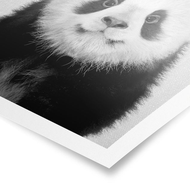 Contemporary art prints Baby Panda Prian Black And White