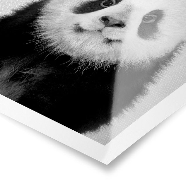 Black and white art Baby Panda Prian Black And White