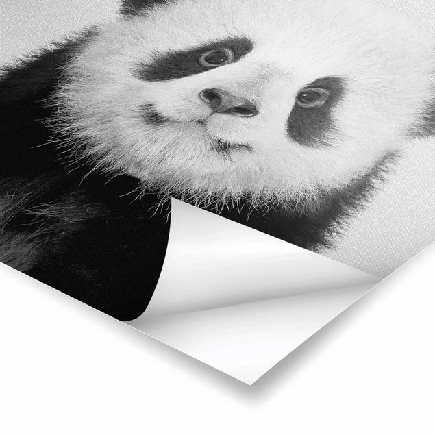 Gal Design art Baby Panda Prian Black And White