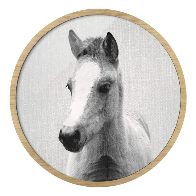 Contemporary art prints Baby Horse Philipp Black And White