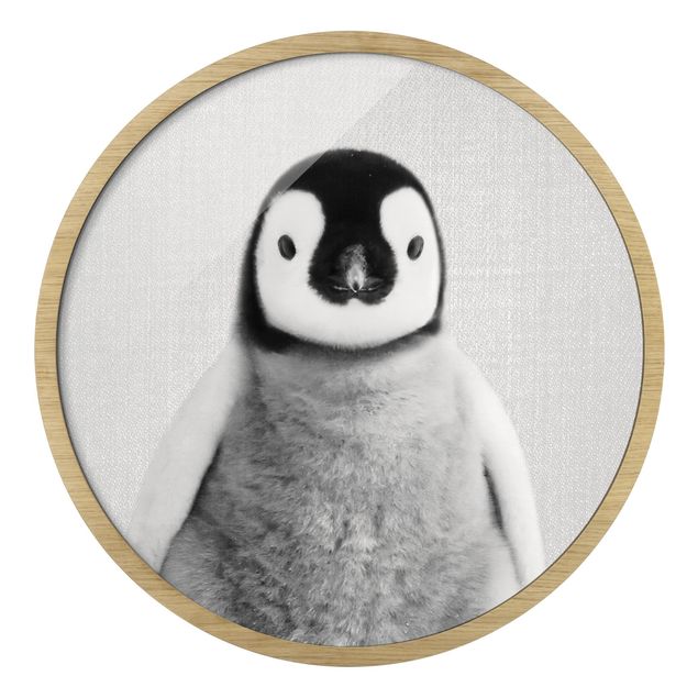 Black and white framed pictures Baby Penguin Pepe Black And White