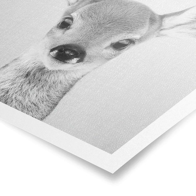 Prints black and white Baby Roe Deer Romy Black And White