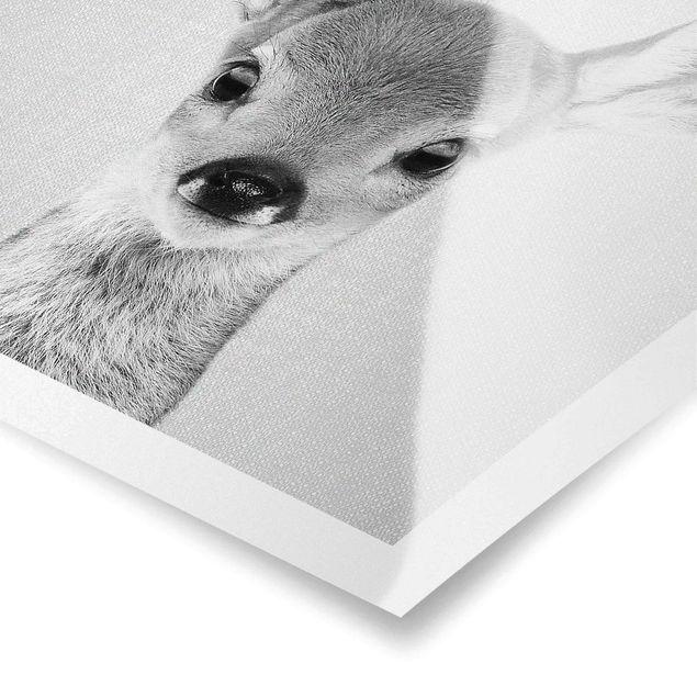 Gal Design Baby Roe Deer Romy Black And White