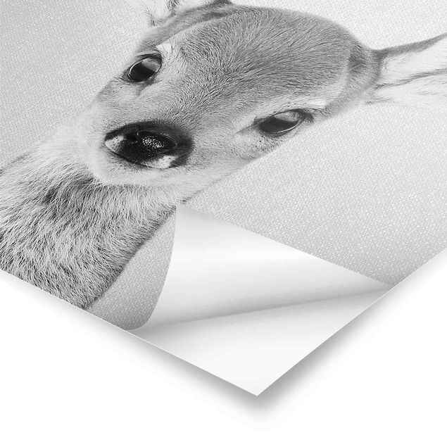 Prints Baby Roe Deer Romy Black And White