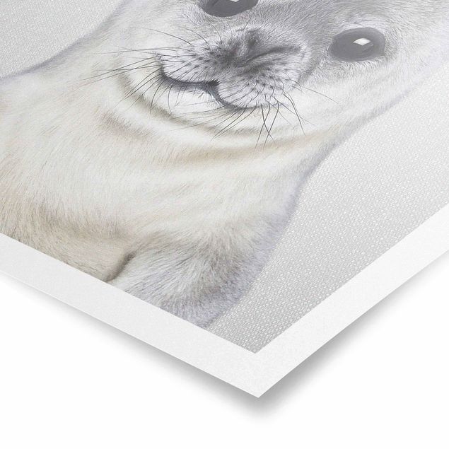Black and white wall art Baby Seal Ronny