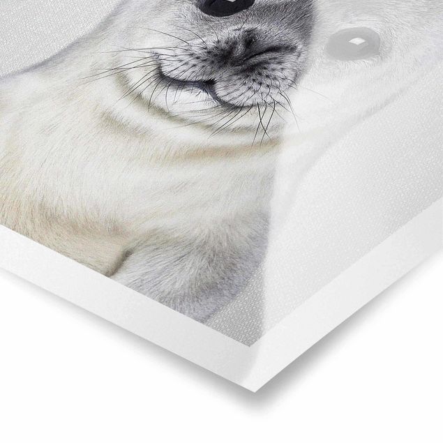 Gal Design prints Baby Seal Ronny