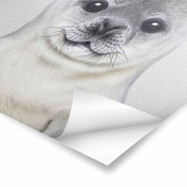 Prints Baby Seal Ronny