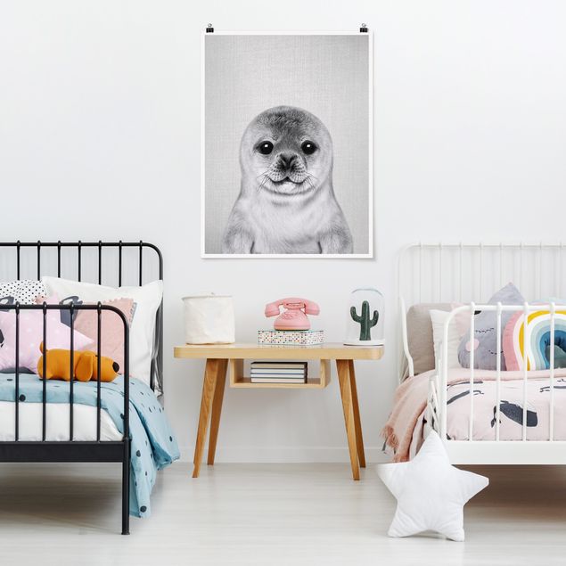 Black and white poster prints Baby Seal Ronny Black And White