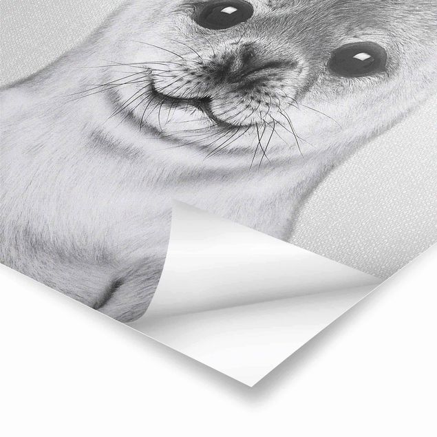 Prints Baby Seal Ronny Black And White