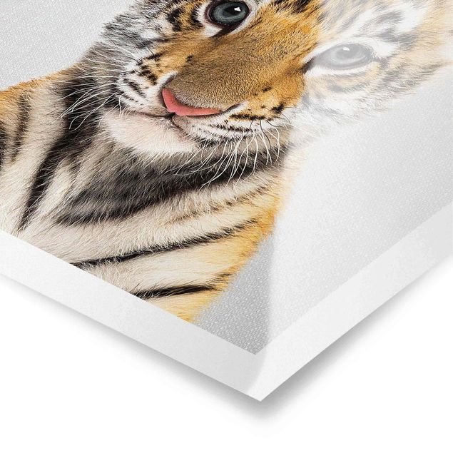 Prints black and white Baby Tiger Thor