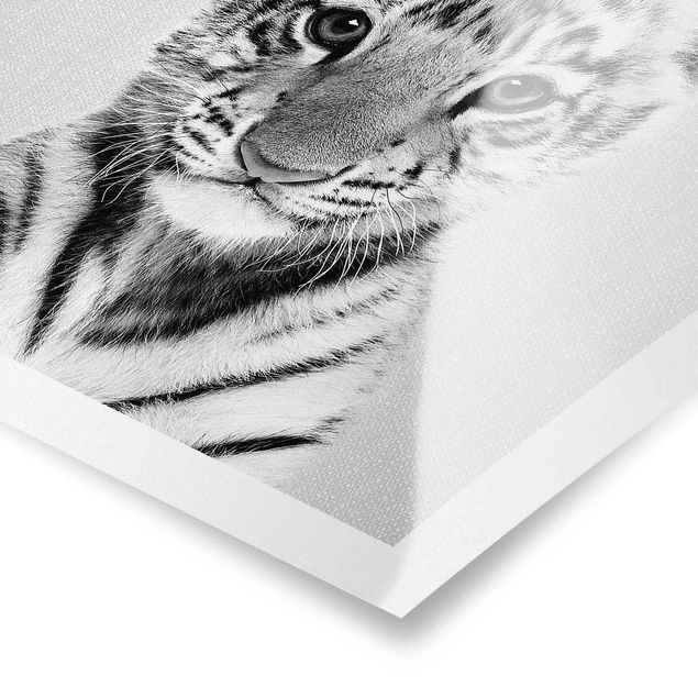 Black and white wall art Baby Tiger Thor Black And White
