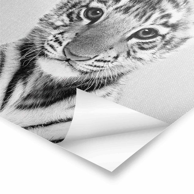 Gal Design prints Baby Tiger Thor Black And White