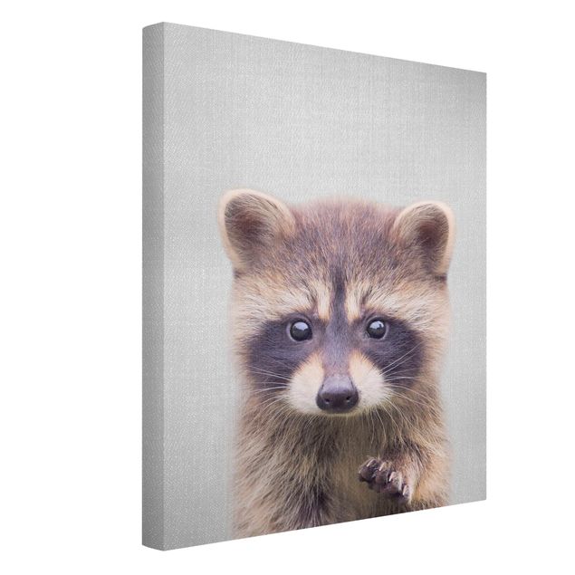 Prints animals Baby Raccoon Wicky