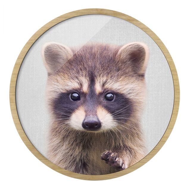 Contemporary art prints Baby Raccoon Wicky