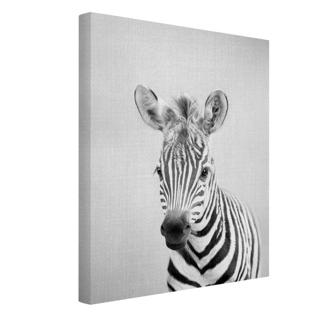 Zebra canvas Baby Zebra Zoey Black And White
