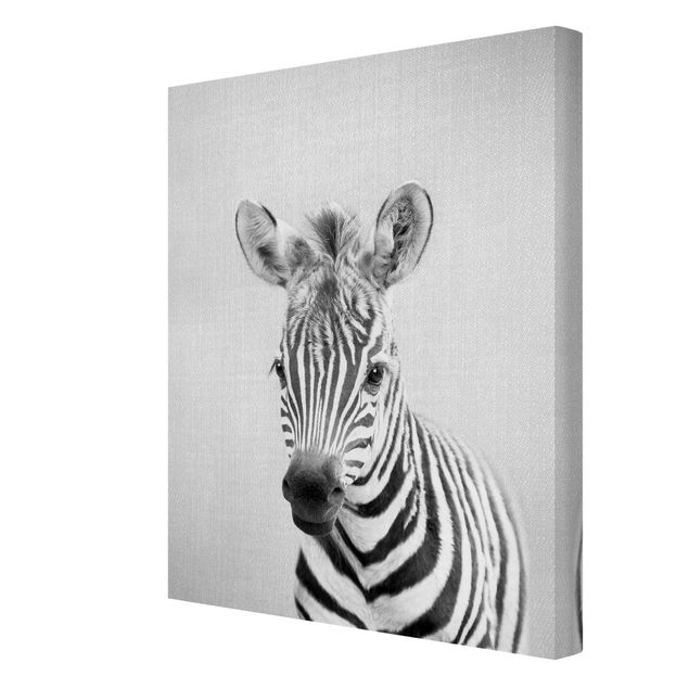 Prints animals Baby Zebra Zoey Black And White