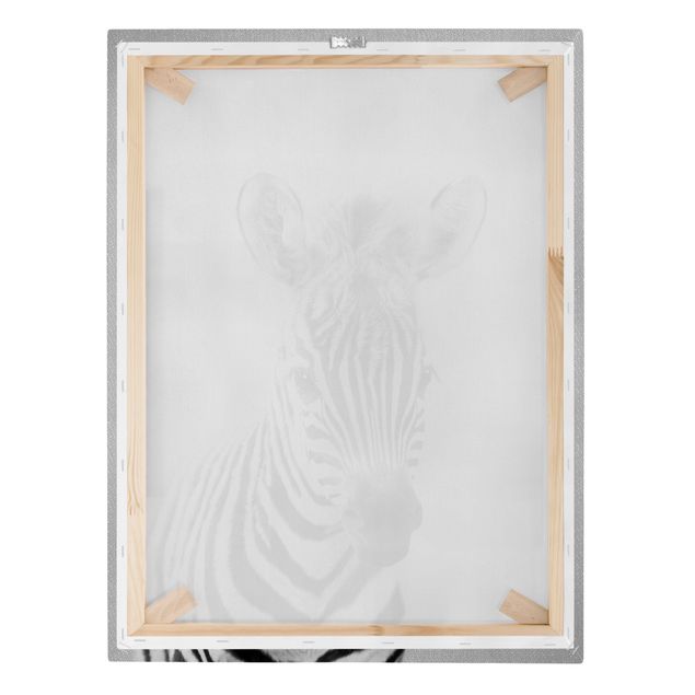 Modern art prints Baby Zebra Zoey Black And White