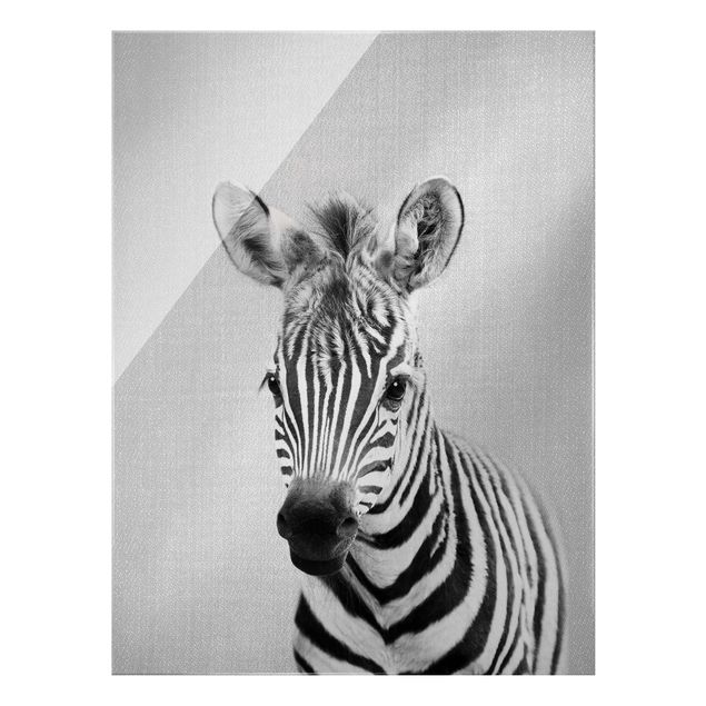 Animal canvas Baby Zebra Zoey Black And White