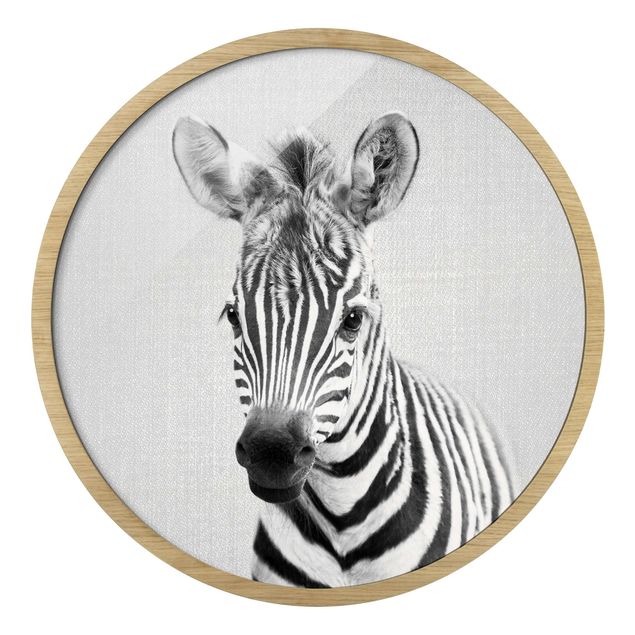 Modern art prints Baby Zebra Zoey Black And White