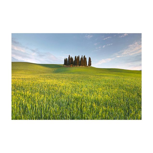 Green rugs Green Field In Tuscany