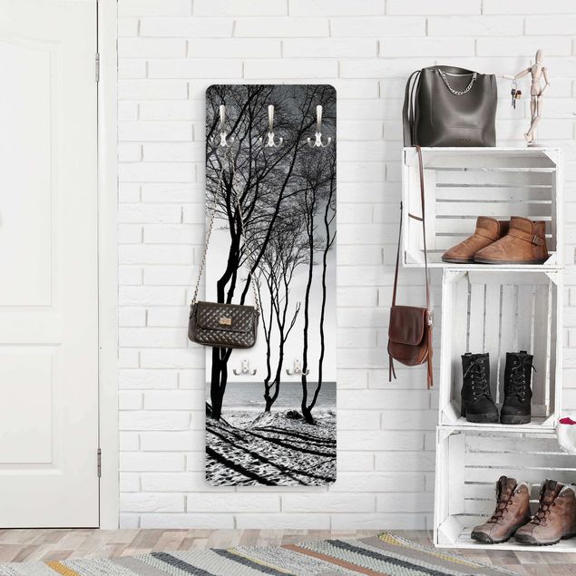 Wall mounted coat rack landscape Trees At the Baltic Sea