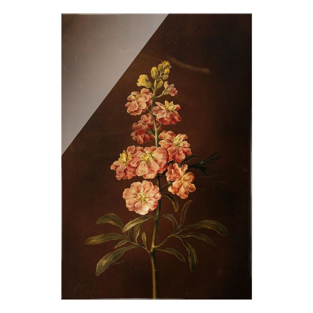 Floral canvas Barbara Regina Dietzsch - A Light Pink Gillyflower