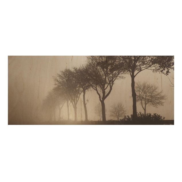Wood prints landscape Tree Avanue In Morning Mist