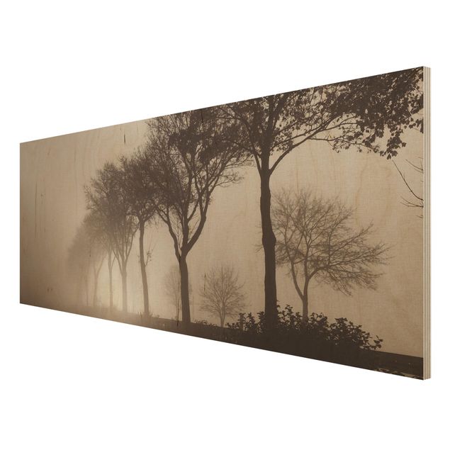 Monika Strigel Art prints Tree Avanue In Morning Mist