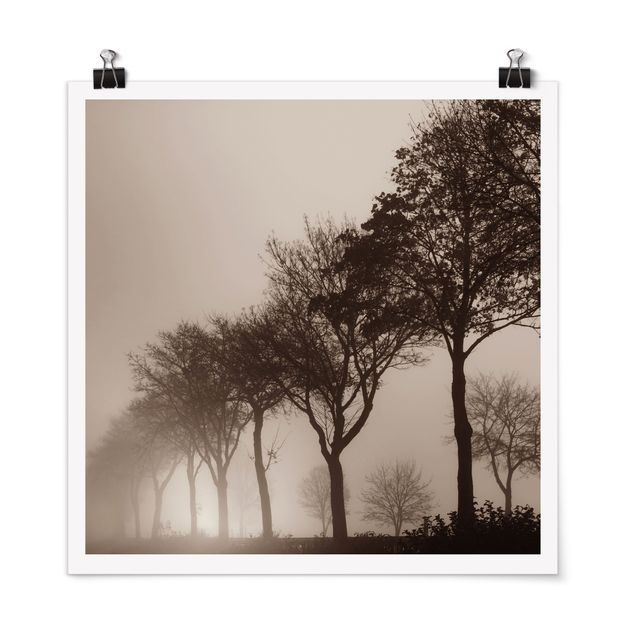 Modern art prints Tree Avanue In Morning Mist