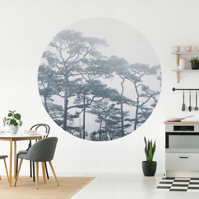 Modern wallpaper designs Treetops In Fog