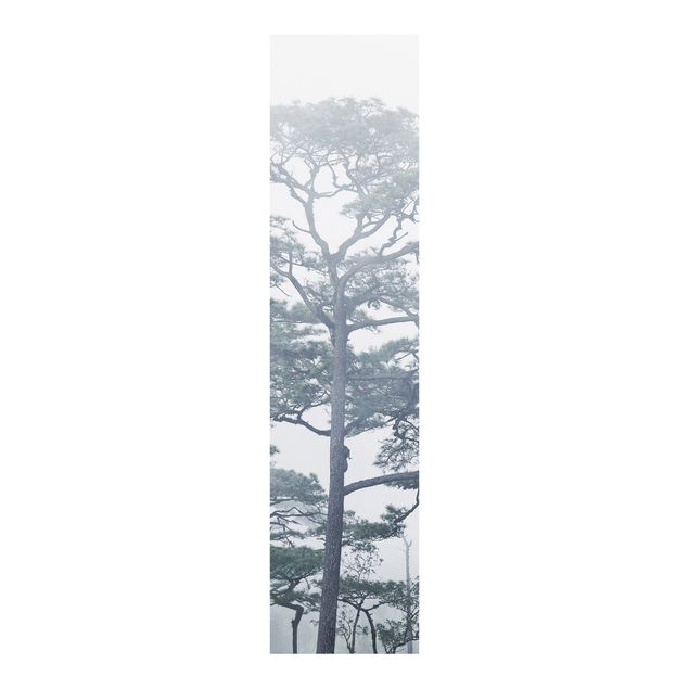 Sliding panel curtains landscape Treetops In Fog