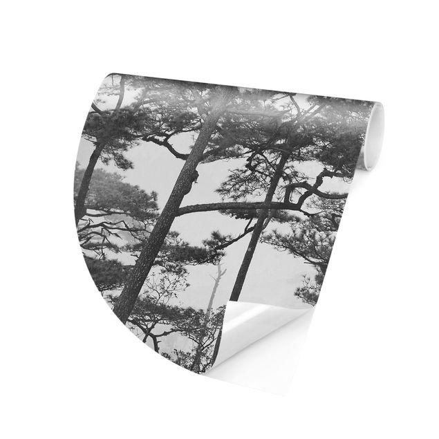 Wallpapers modern Treetops In Fog Black And White