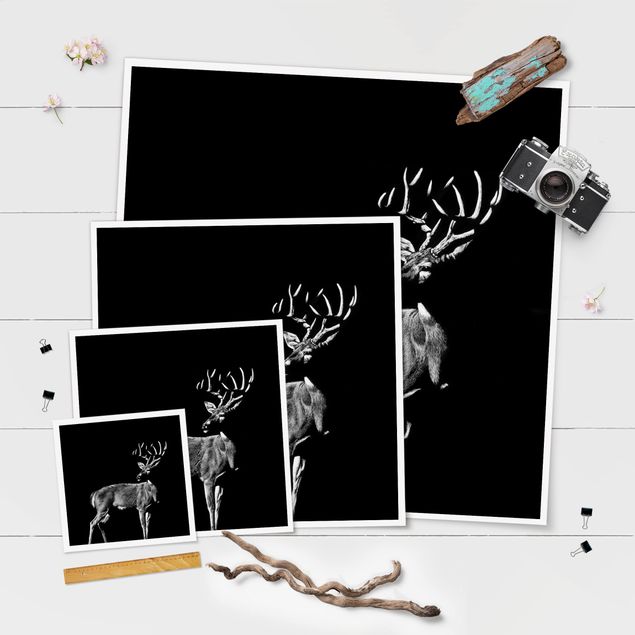 Prints Deer In The Dark