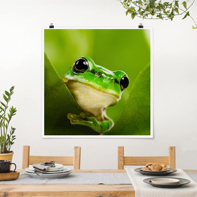 Prints animals Frog