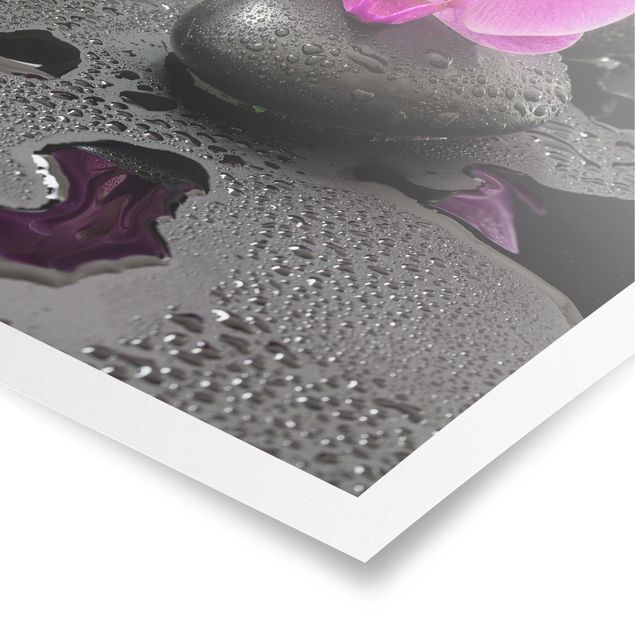 Floral canvas Pink Orchid Flower On Stones With Drops