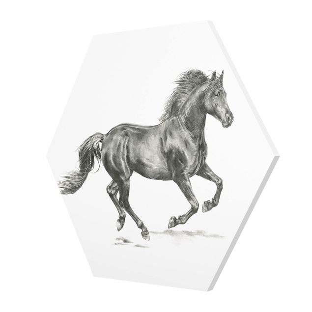Black and white art Wild Horse Trial - Stallion