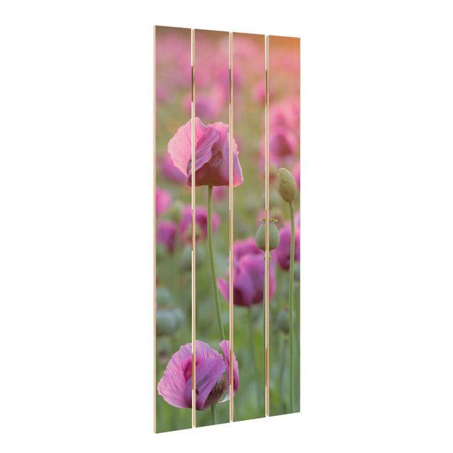 Wood photo prints Purple Poppy Flower Meadow In Spring