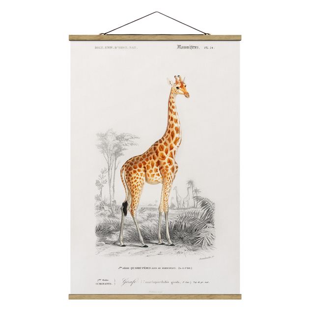 Prints animals Vintage Board Giraffe